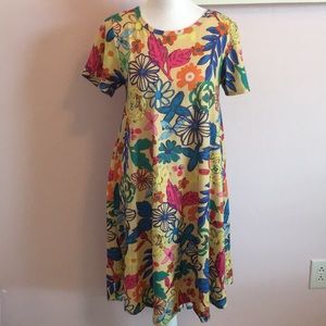 LulaRoe Carly floral dress